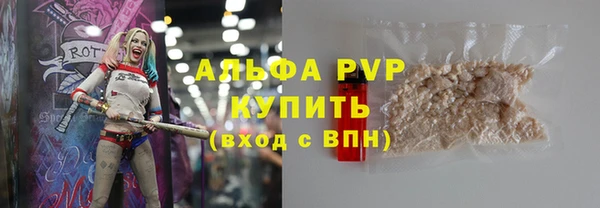 прущие грибы Заволжье
