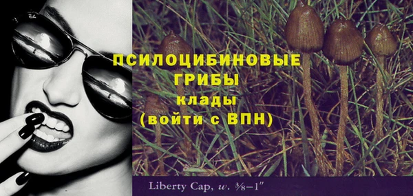 прущие грибы Заволжье