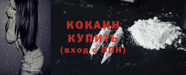 прущие грибы Заволжье