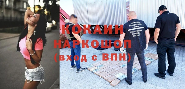 прущие грибы Заволжье
