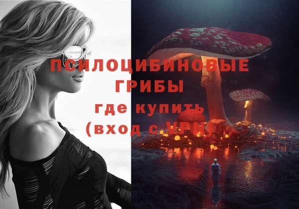 кокаин перу Заводоуковск