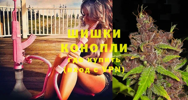 прущие грибы Заволжье