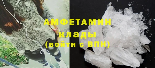 прущие грибы Заволжье