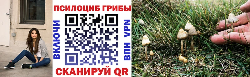 цена наркотик  Лабытнанги  omg как войти  Псилоцибиновые грибы MAGIC MUSHROOMS 